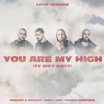 Nicky Jam You are my high